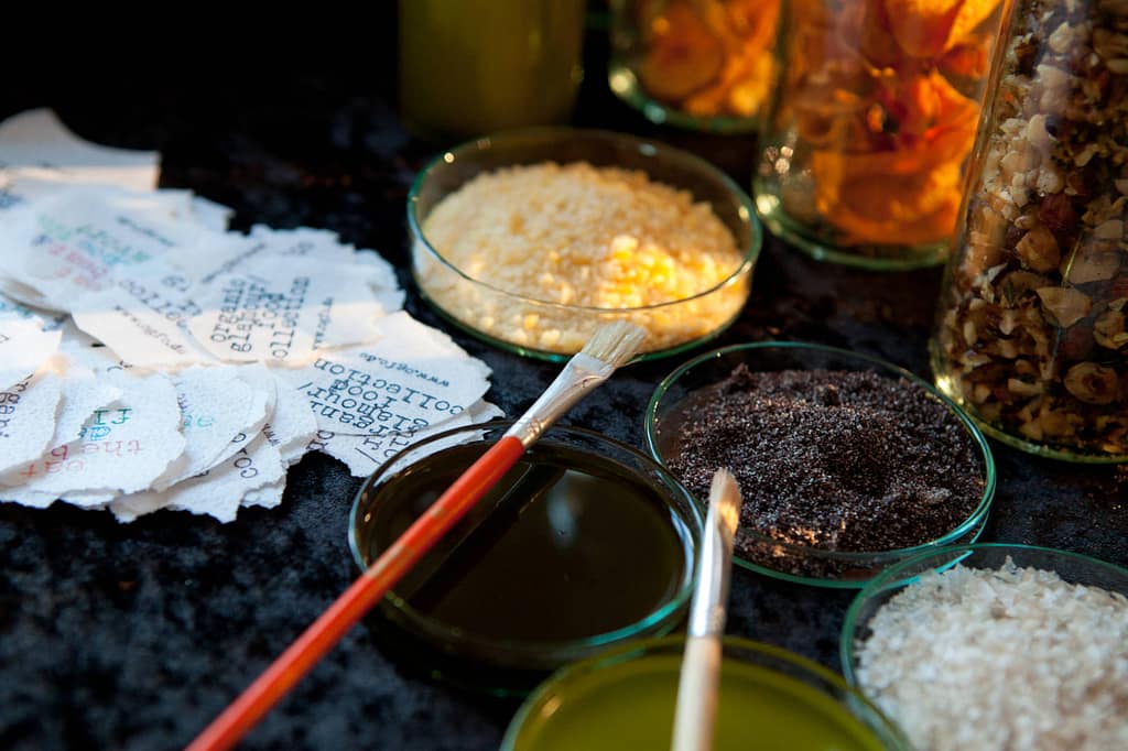 Eat The Beat And Dance The Flavour 5 Eat The Beat And Dance The Flavour 5