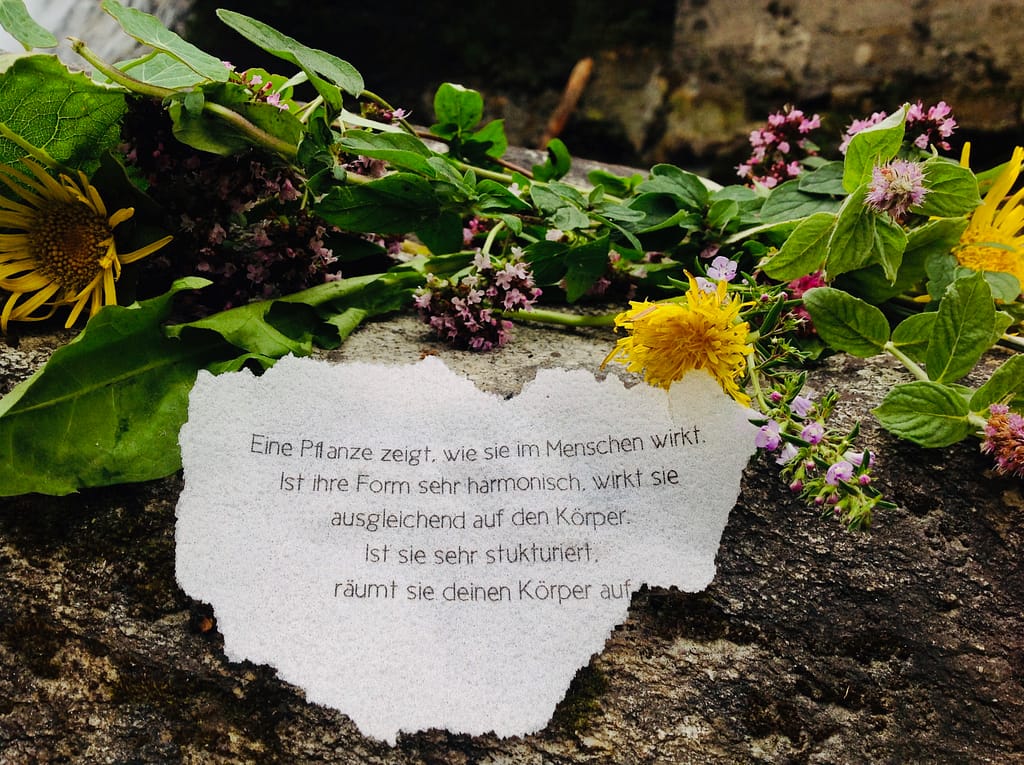 Wie schmeckt Bad Gastein ? 4 Wie schmeckt Bad Gastein ? 4