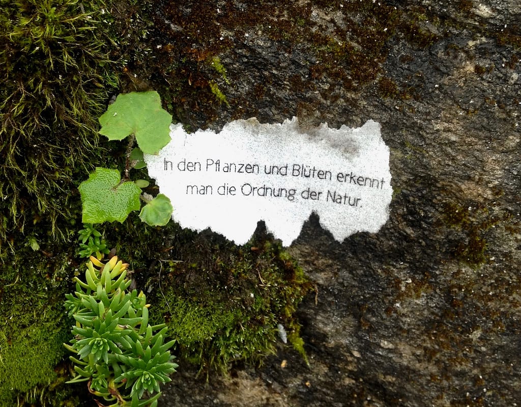 Wie schmeckt Bad Gastein ? 7 Wie schmeckt Bad Gastein ? 7