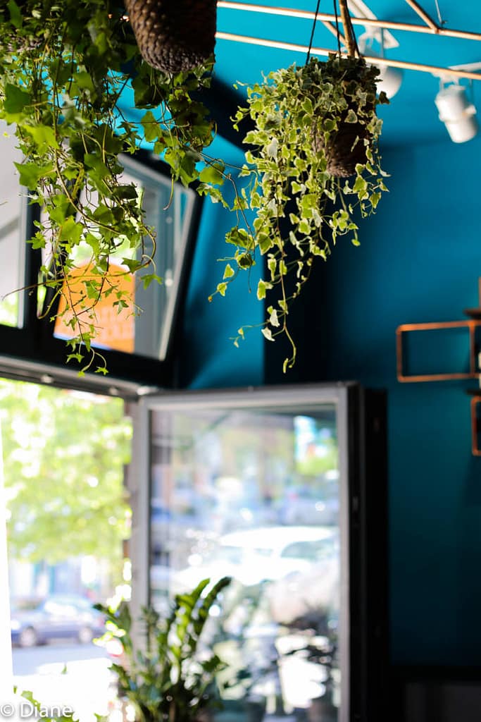 Organic Glamour Food Collection 9 Organic Glamour Food Collection 9