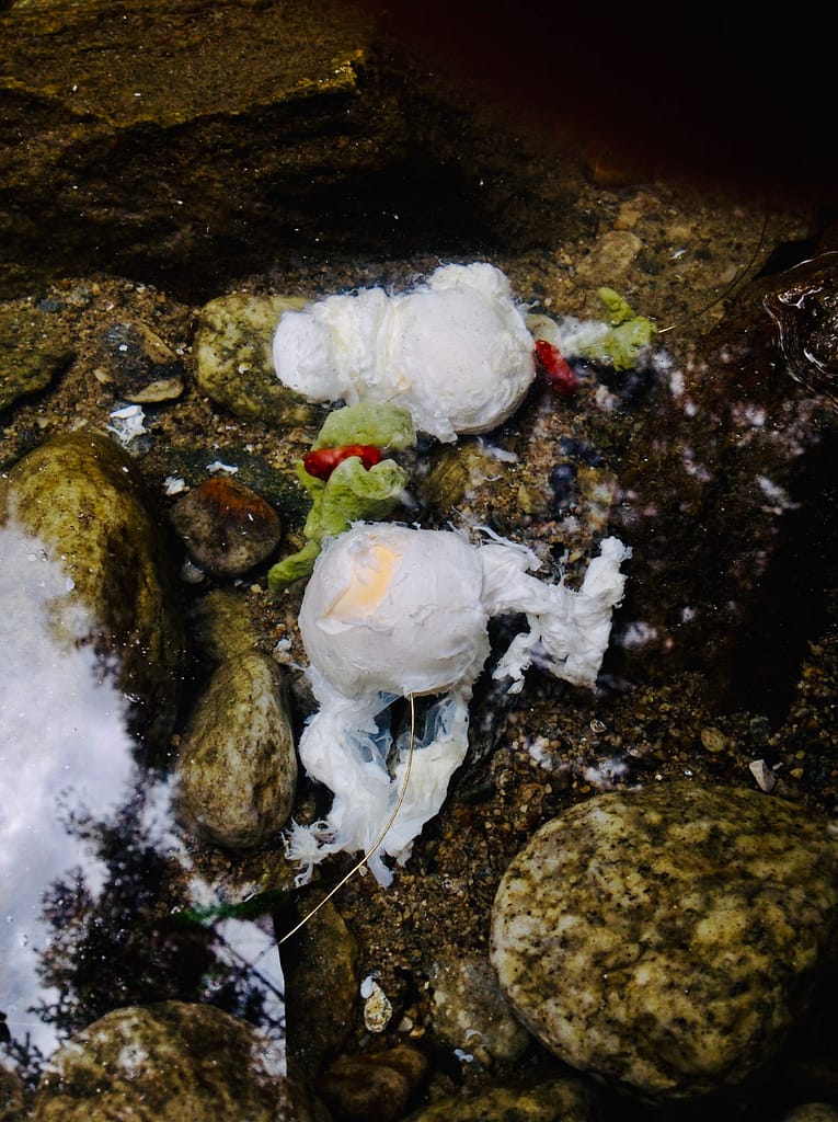 Wie schmeckt Bad Gastein ? 9 Wie schmeckt Bad Gastein ? 9